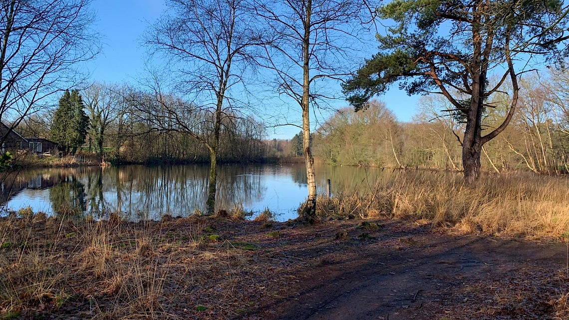 Vennetje omgeving Ruurlo, natte laarzenpad