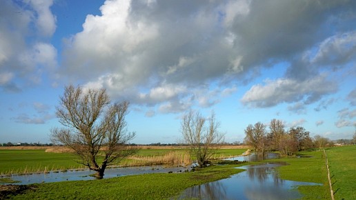 Genne en Haerst