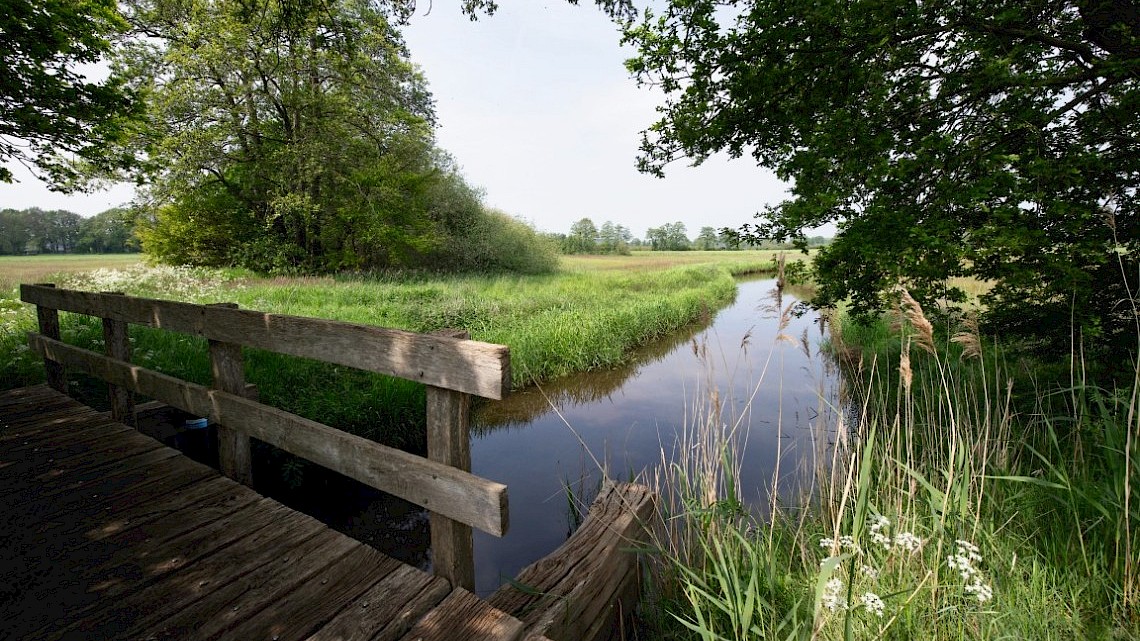 fietsen in omgeving Ommen