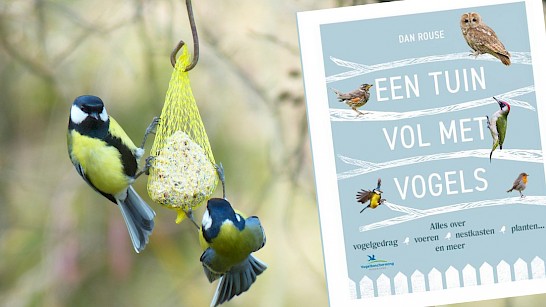 Tuin vol met vogels