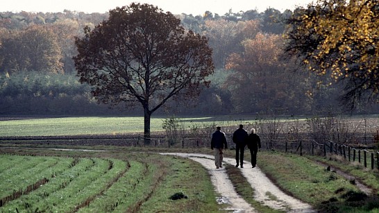 Lange winterwandeling, Lochemse Berg, foto Koos Dansen