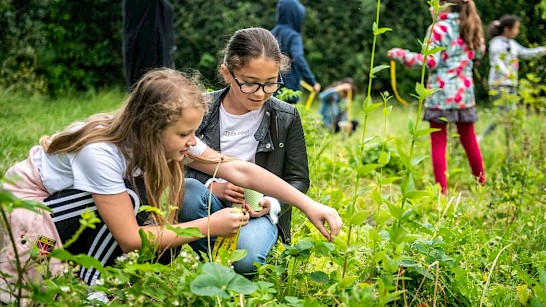 Basisscholen doen mee met eerste editie 'Maand van de Schooltuin'