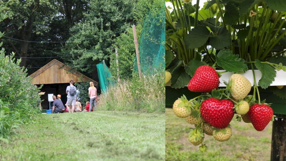 Kom langs, proef en geniet bij TwenteFruit!