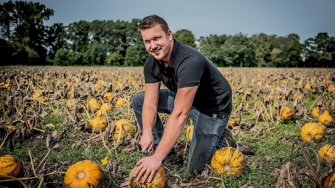 Groentekwekerij Smits in De Heurne