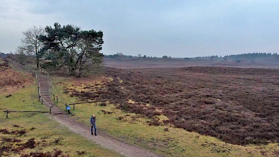 Het Horsthoekerpad in Heerde