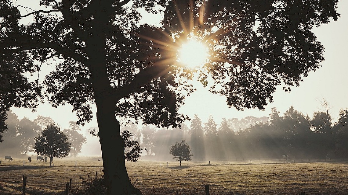 Kleinste dorpen van Twente