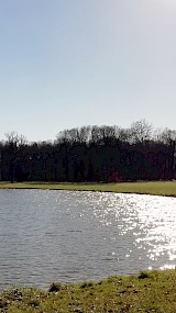 lente op landgoed Enghuizen in Hummelo (geüpload door Ben Lebbink)