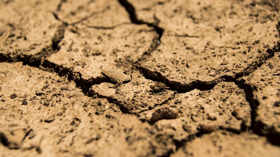 KNMI-klimatoloog Rob Sluijter legt uit wat droogte is