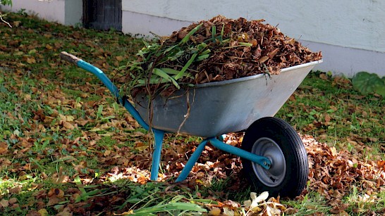 herfst werken in de tuin